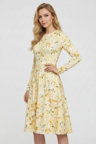 Vanilla Prism Long sleeve midi dress