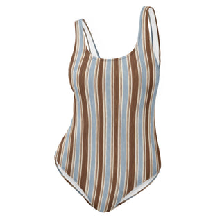 Powder and Cocoa One-Piece Swimsuit 3XL