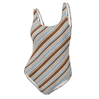 Powder and Cocoa One-Piece Swimsuit 3XL